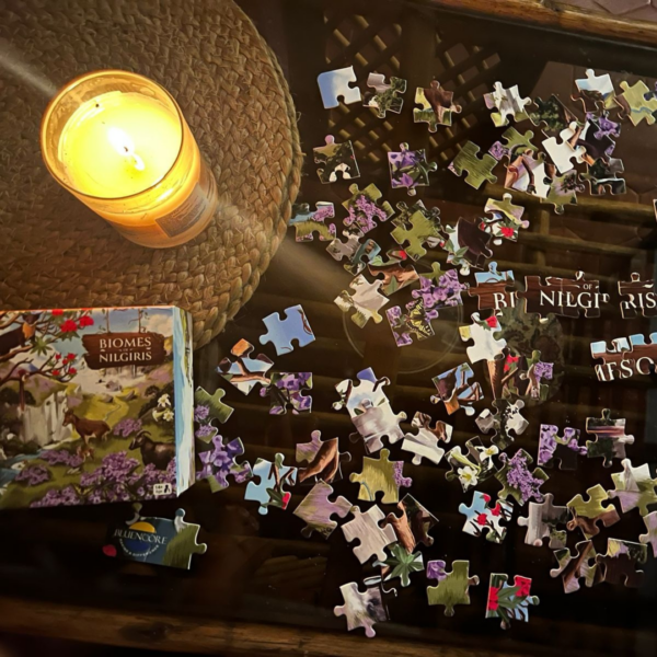 Biomes of Nilgiris – 100 pieces Puzzle|  Save 15% on Preorder